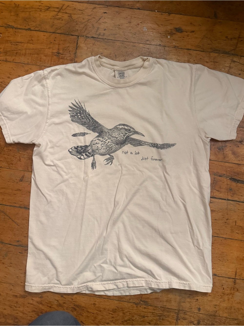 Adrienne Lenker “Not A lot just forever” merch T shirt. Size medium. Rarely worn